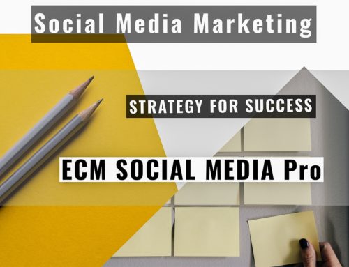 Social Media Marketing Pro – Strategy for Success