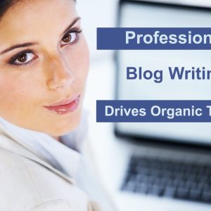 EckCreativeMedia_Professional_Blog_Writing